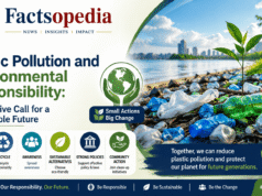Plastic Pollution and Environmental Responsibility: A Collective Call for a Sustainable Future Plastic Pollution and Environmental Responsibility: A Collective Call for a Sustainable Future