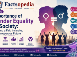 Explore the importance of gender equality in society, its impact on education, economic growth, social development, and how equal opportunities can create a fair and prosperous future for all.
